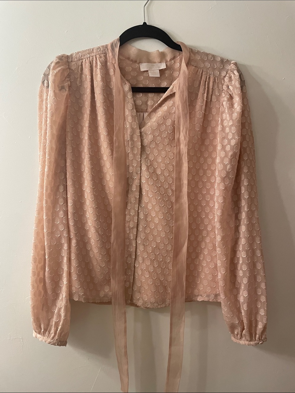 Rachel Parcell Blush Pink Tie-Neck Dot Chiffon Blouse